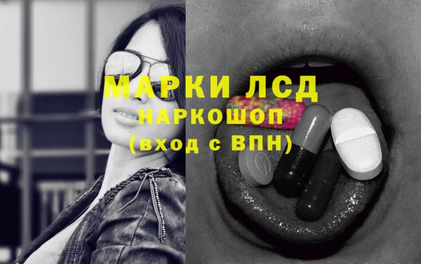 прущие грибы Абдулино