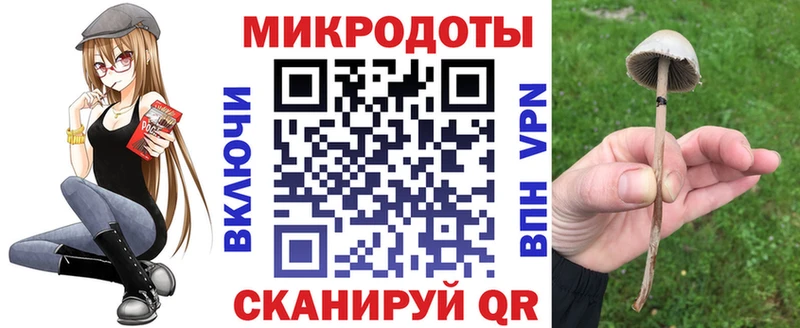 Галлюциногенные грибы Psilocybe  даркнет сайт  Сафоново 